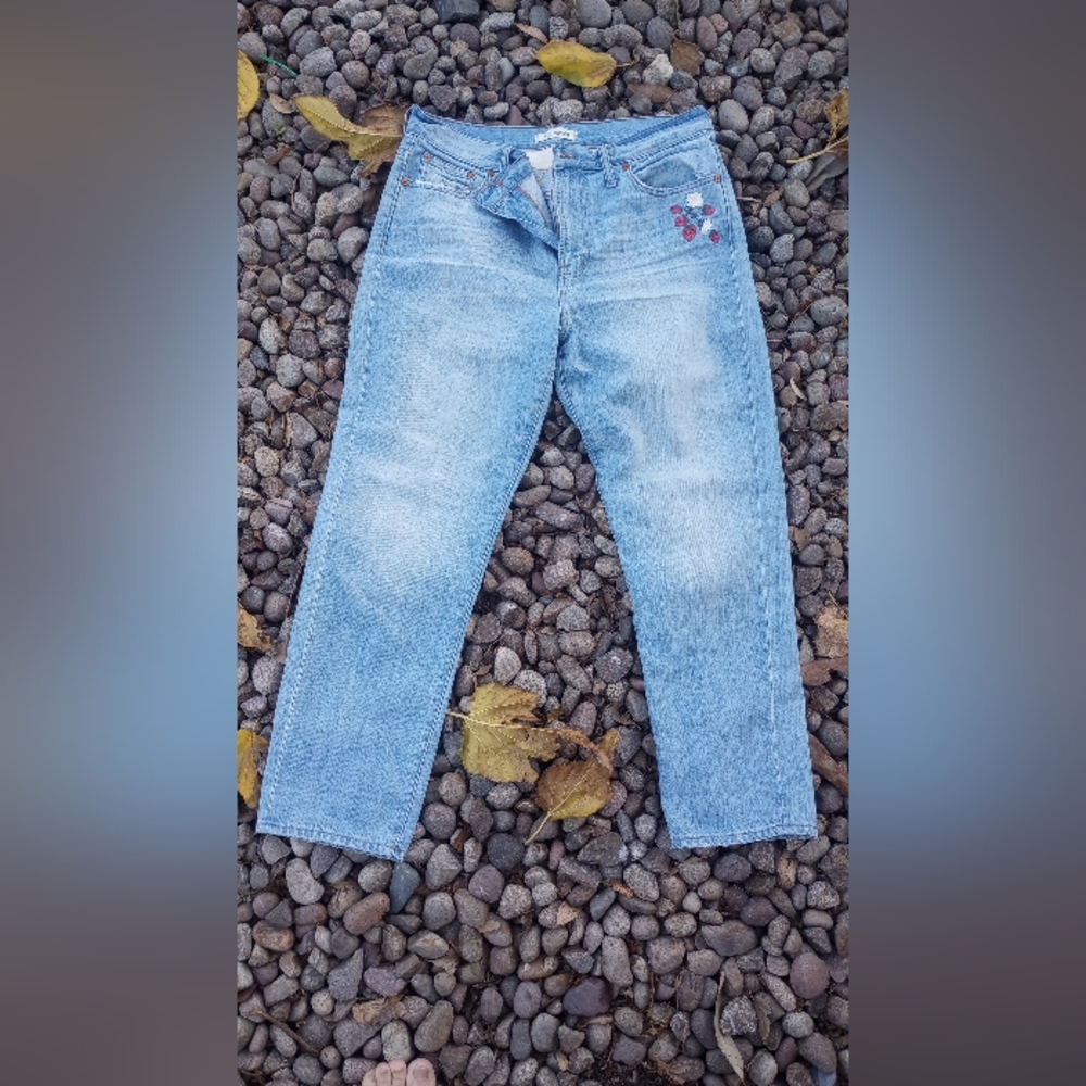 Madewell Strawberry Embroidered Jeans, Sunset Embroidered Jeans, Rare Madewell